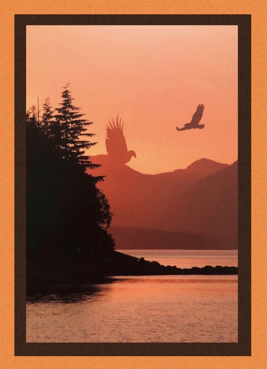 Soaring Sentry