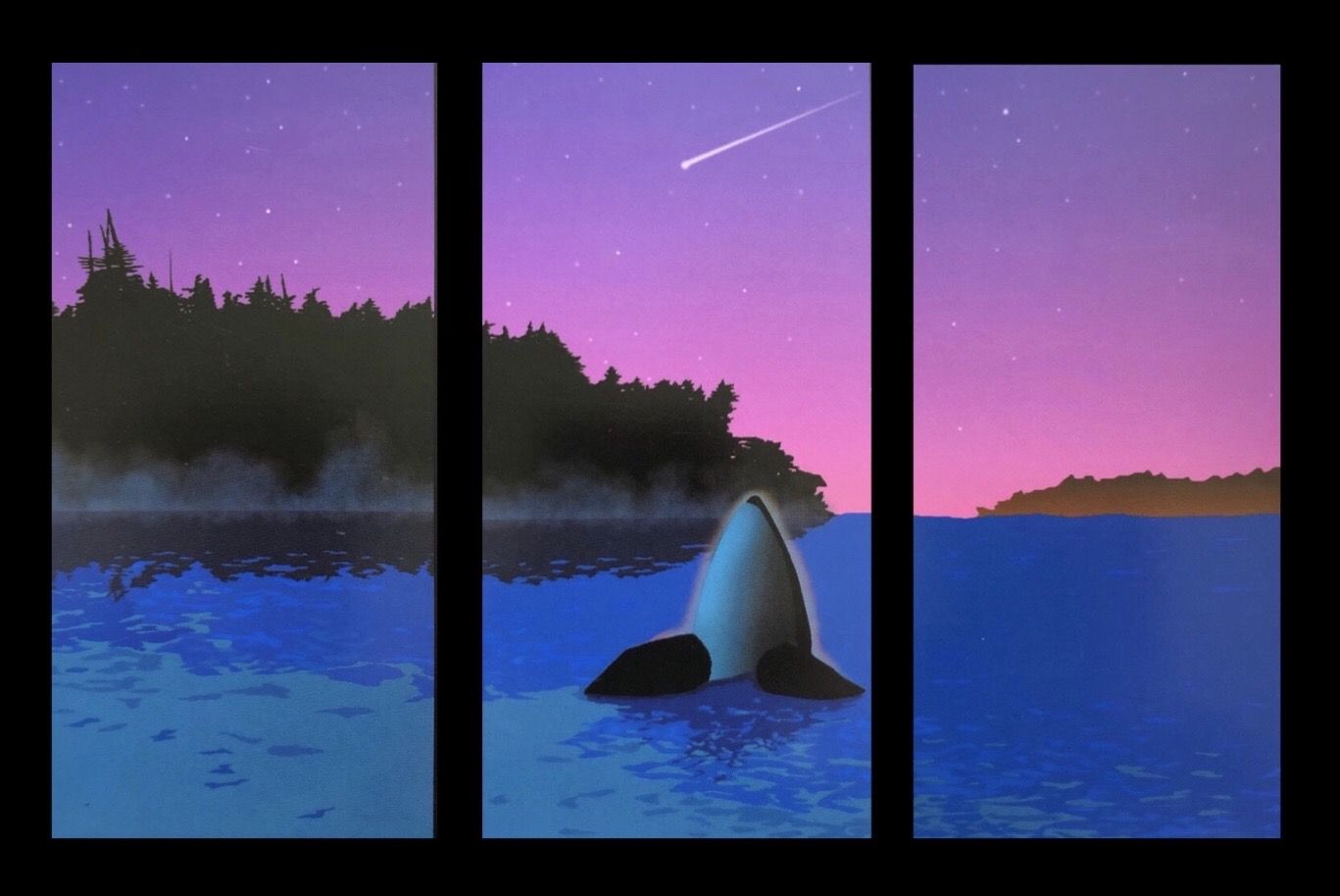 Haida Blank 3-Panel Orca