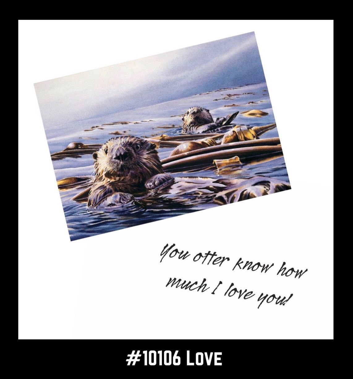Seaotter
