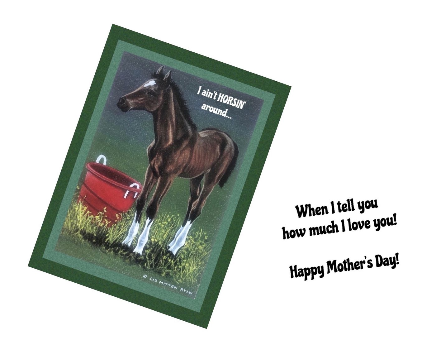 Horse