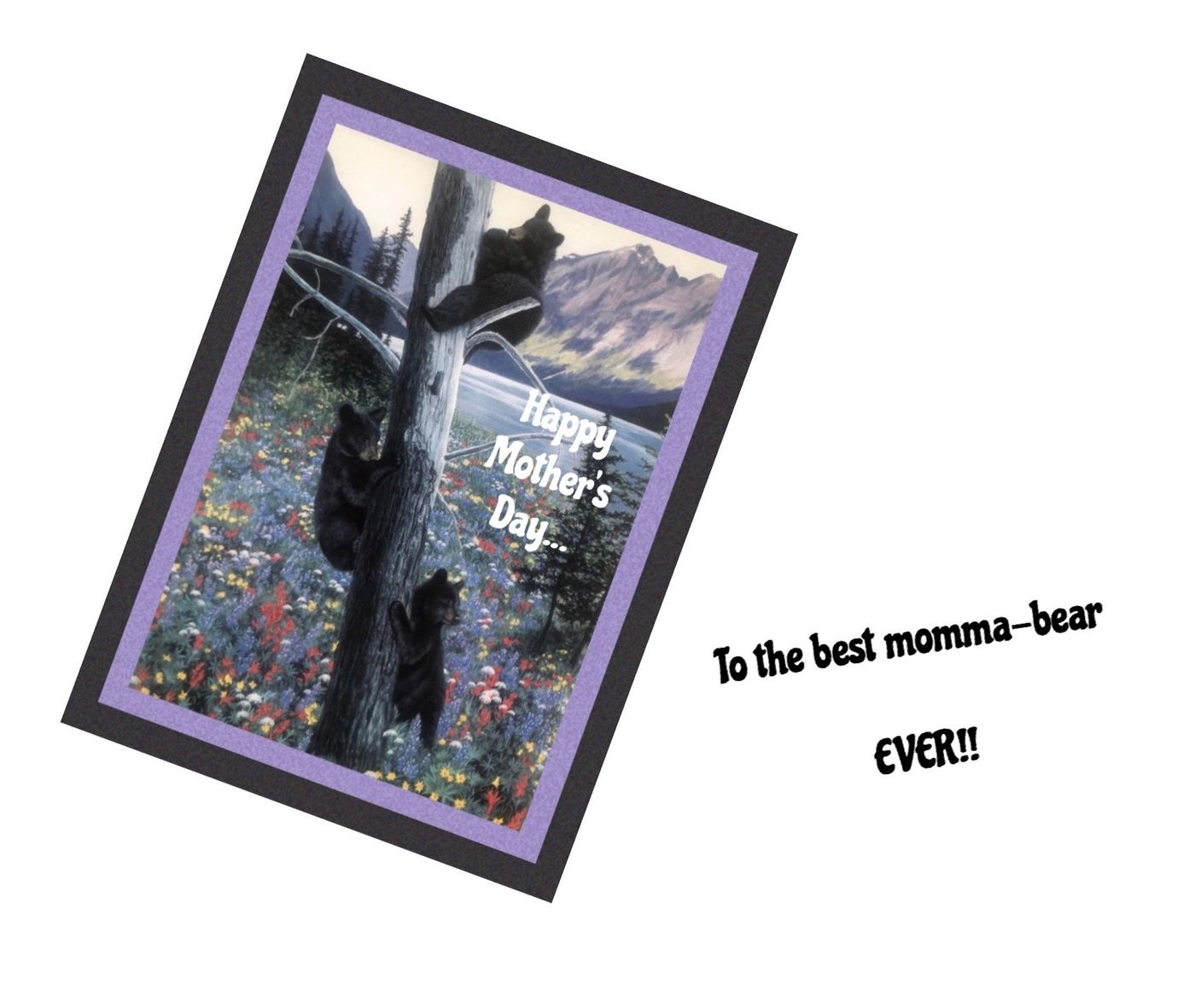 Blackbears