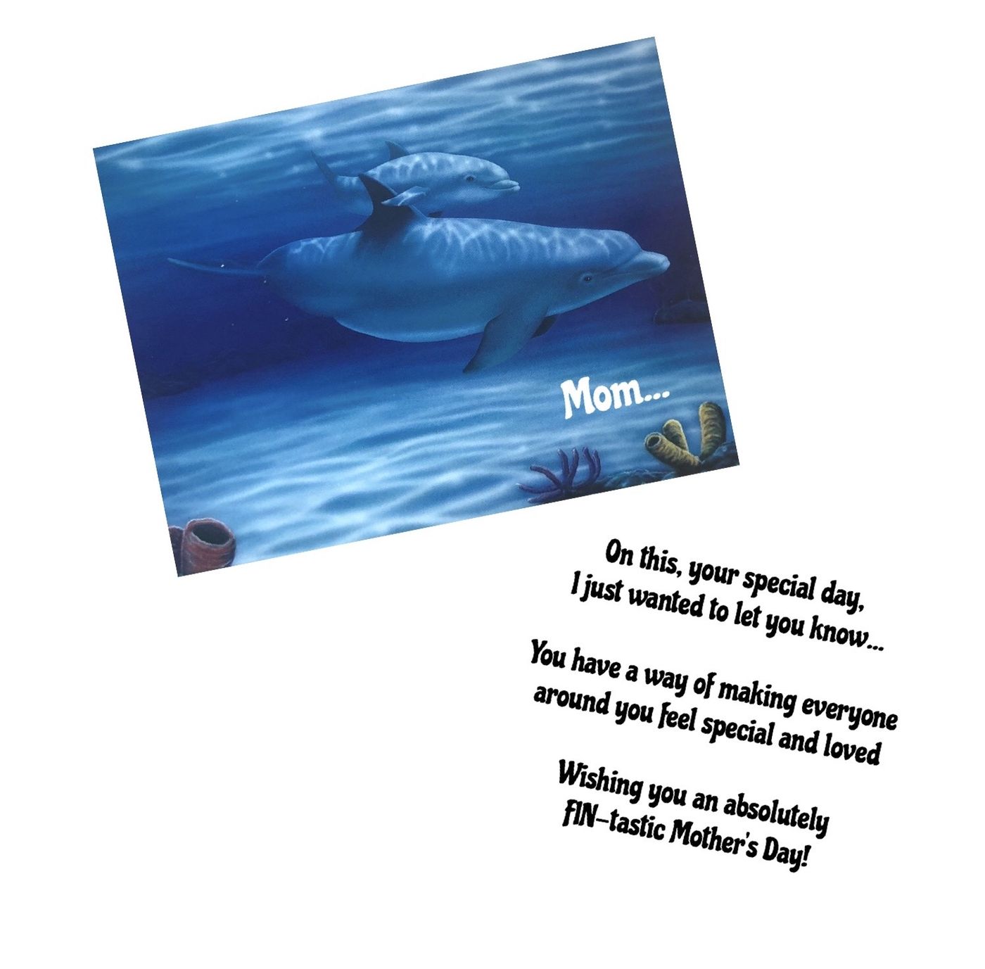 Dolphins