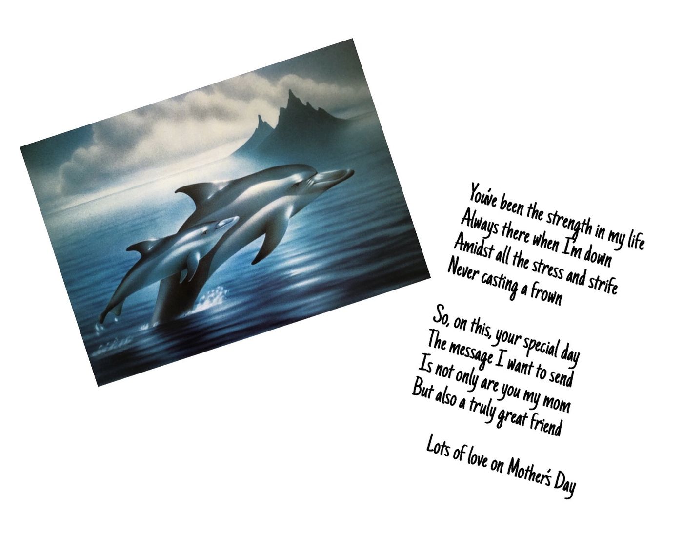 Dolphins