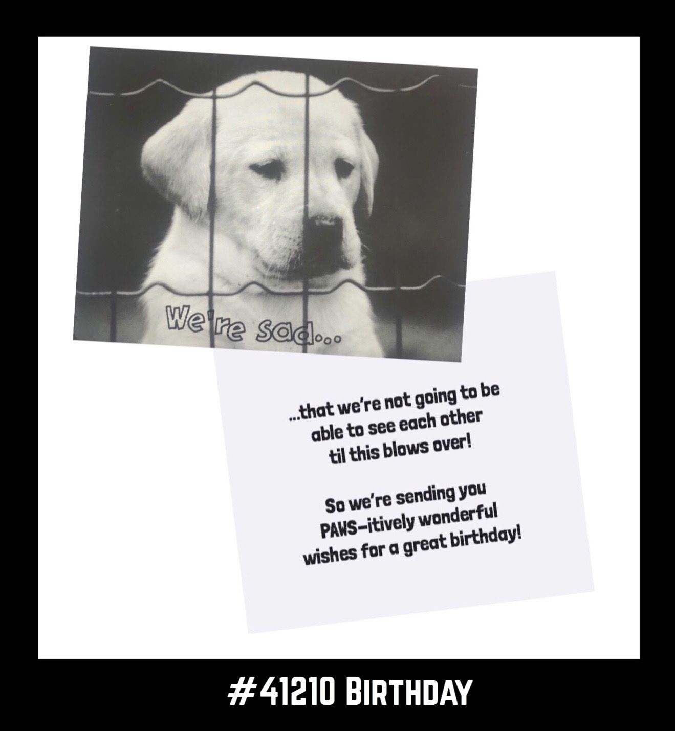 Birthday