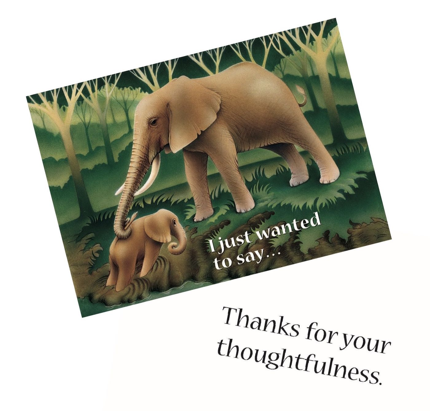Elephants